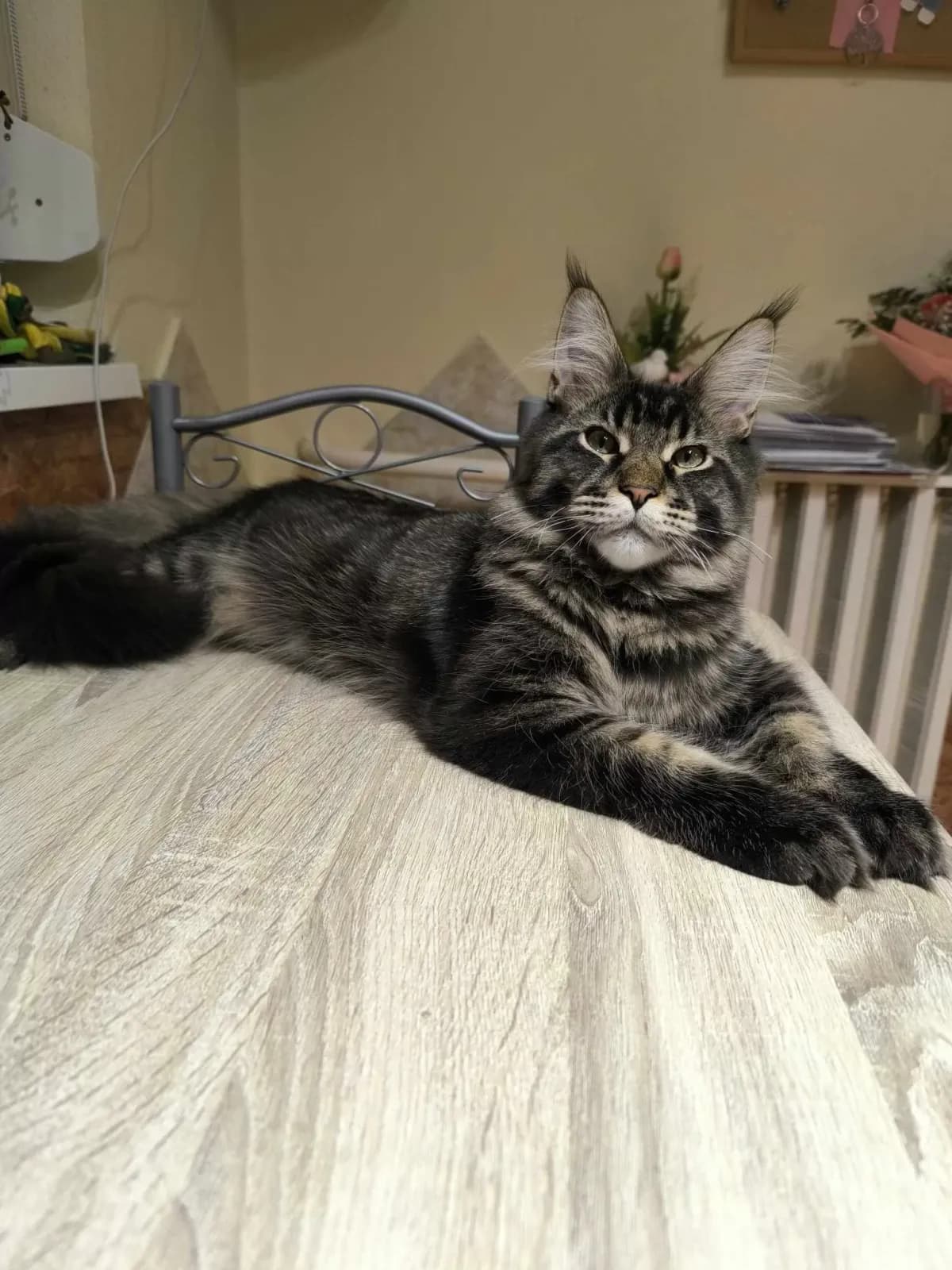 Gazdi fotója, 6. fotó