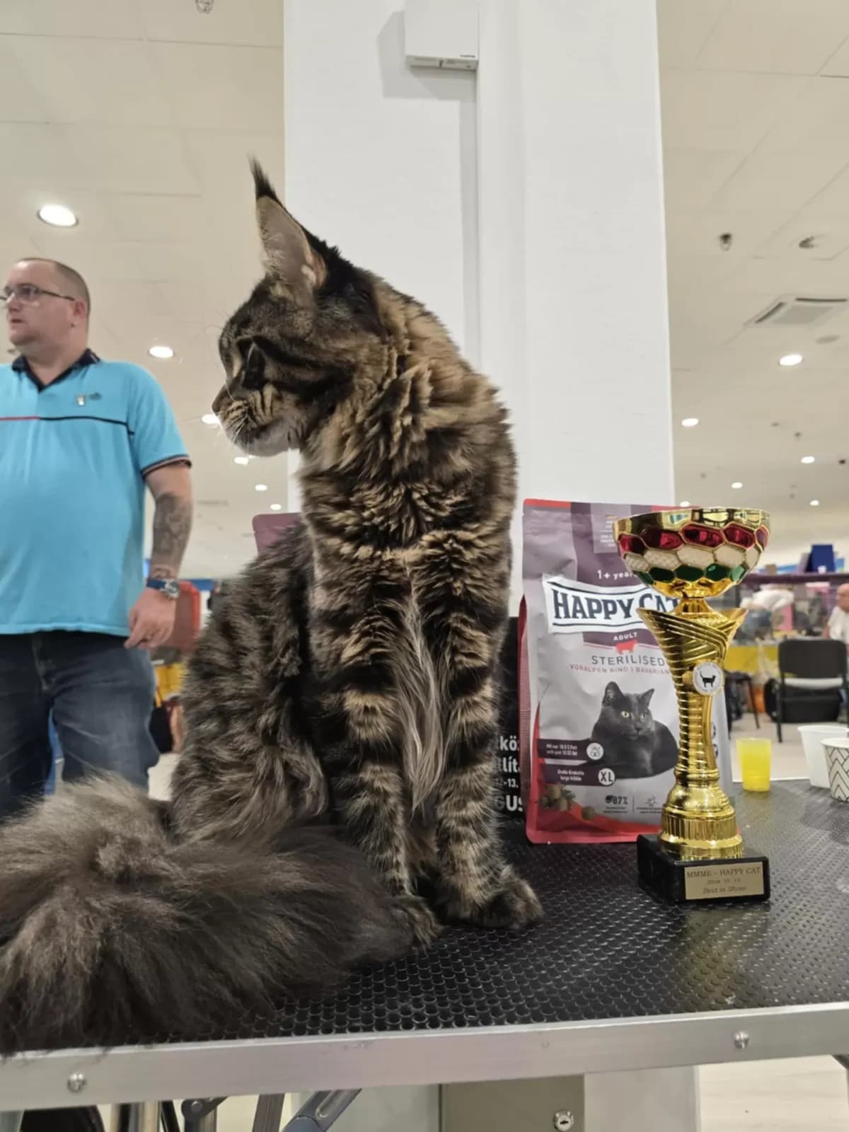 Egykori kiscicánk új otthonában