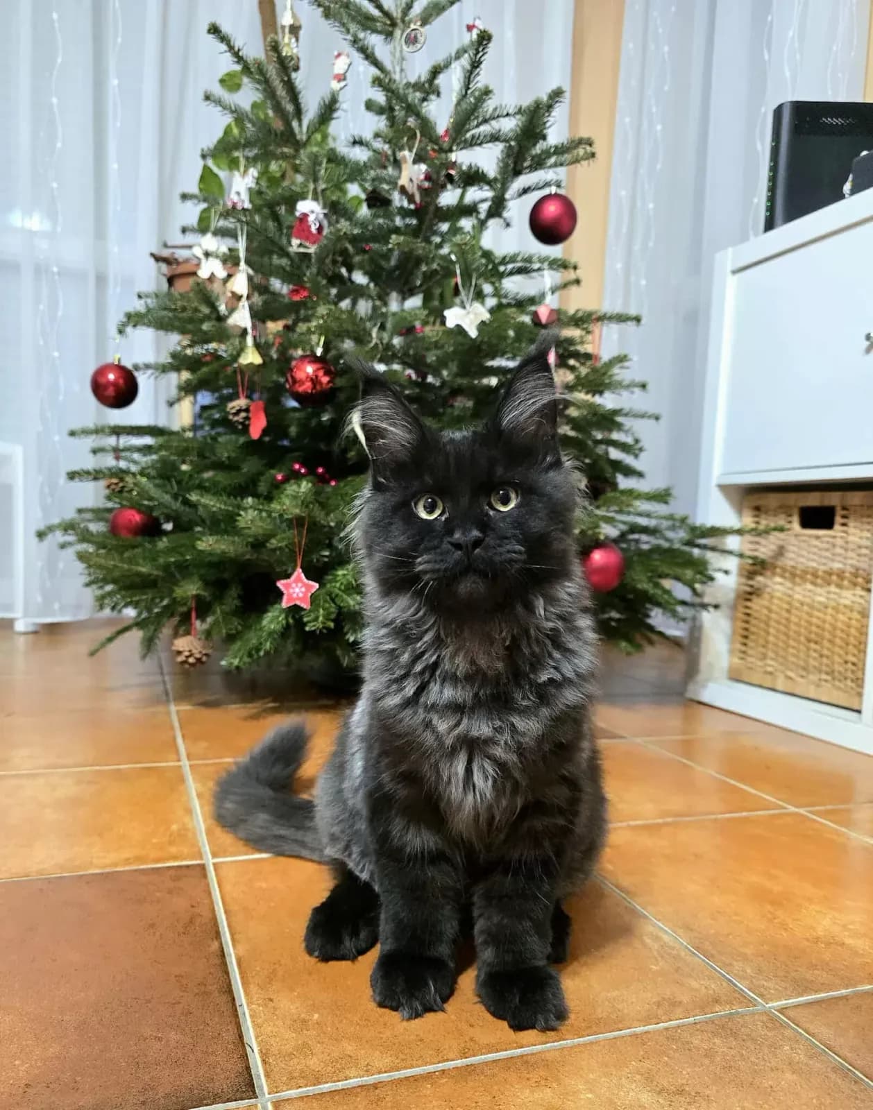 Gazdi fotója, 3. fotó