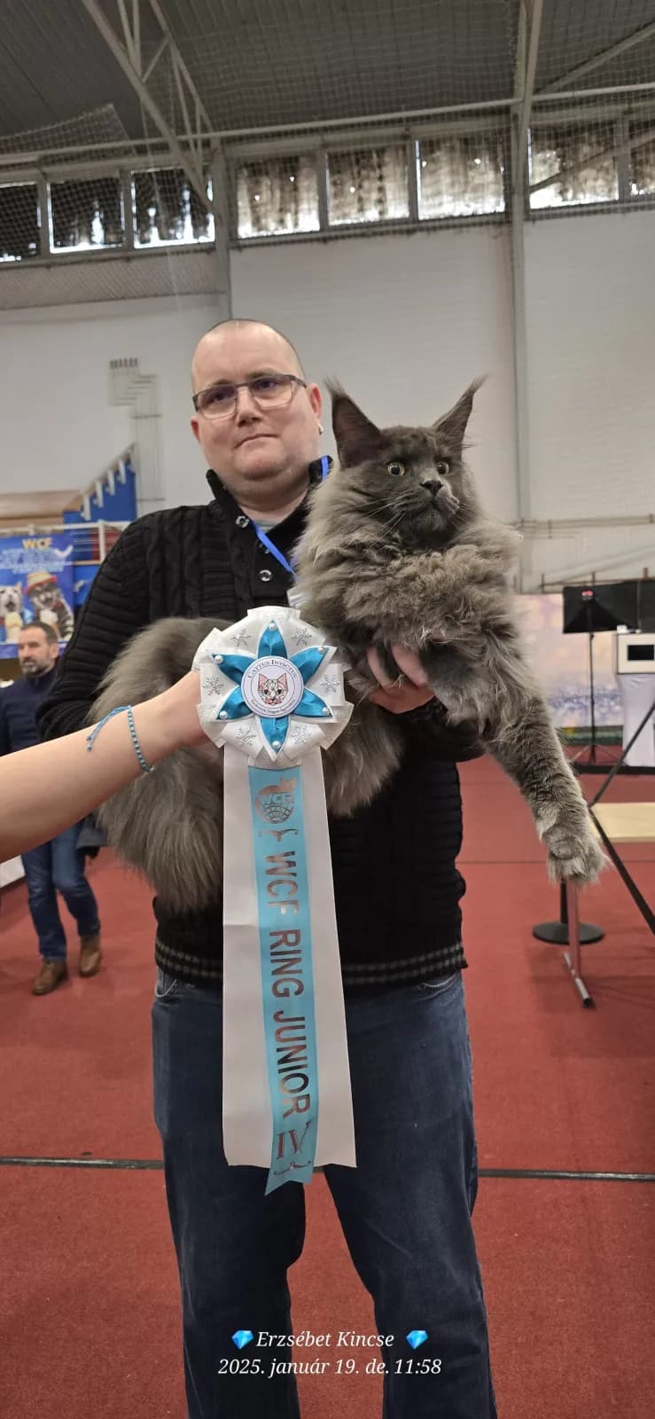 Kiállítási fotó, 6. fotó